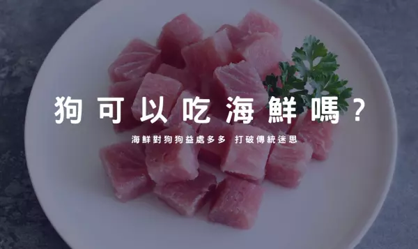 鮪魚 鮭魚 鱸魚