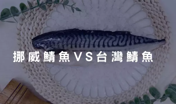 挪威鯖魚