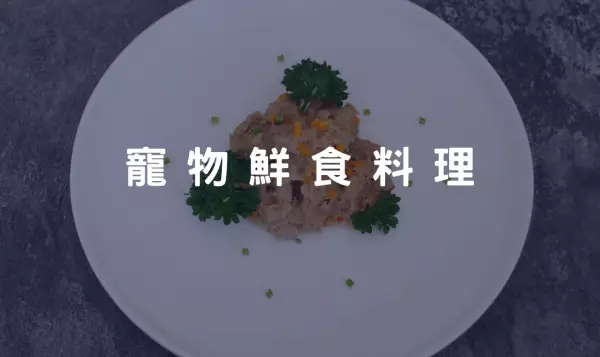 鮪魚 旗魚 鮭魚