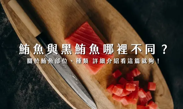 鮪魚,鮪魚部位,黑鮪魚