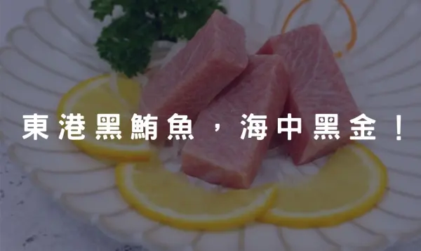 東港黑鮪魚
