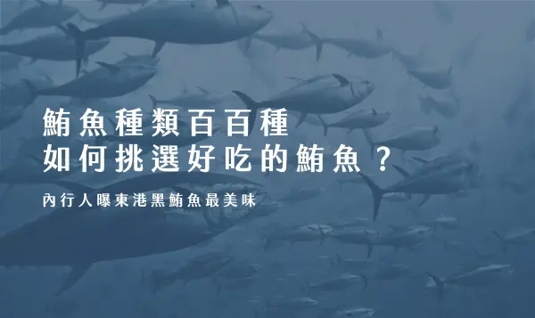 鮪魚,鮪魚種類,黑鮪魚