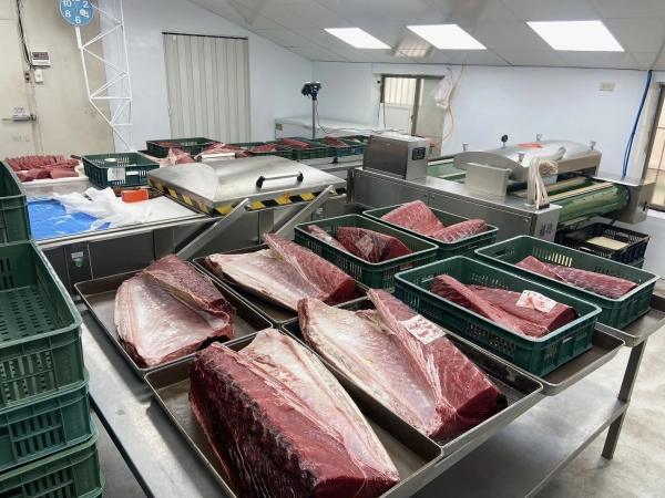 東港黑鮪魚代工