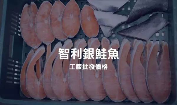 智利鮭魚