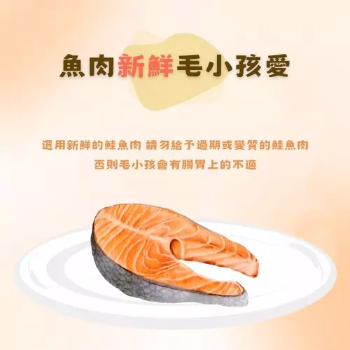 鮭魚 寵物料理 寵物鮮食包