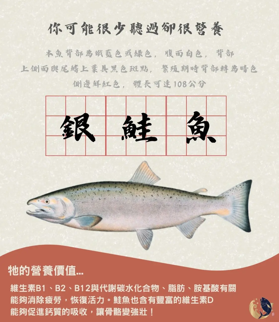 鮭魚,鮭魚種類,銀鮭