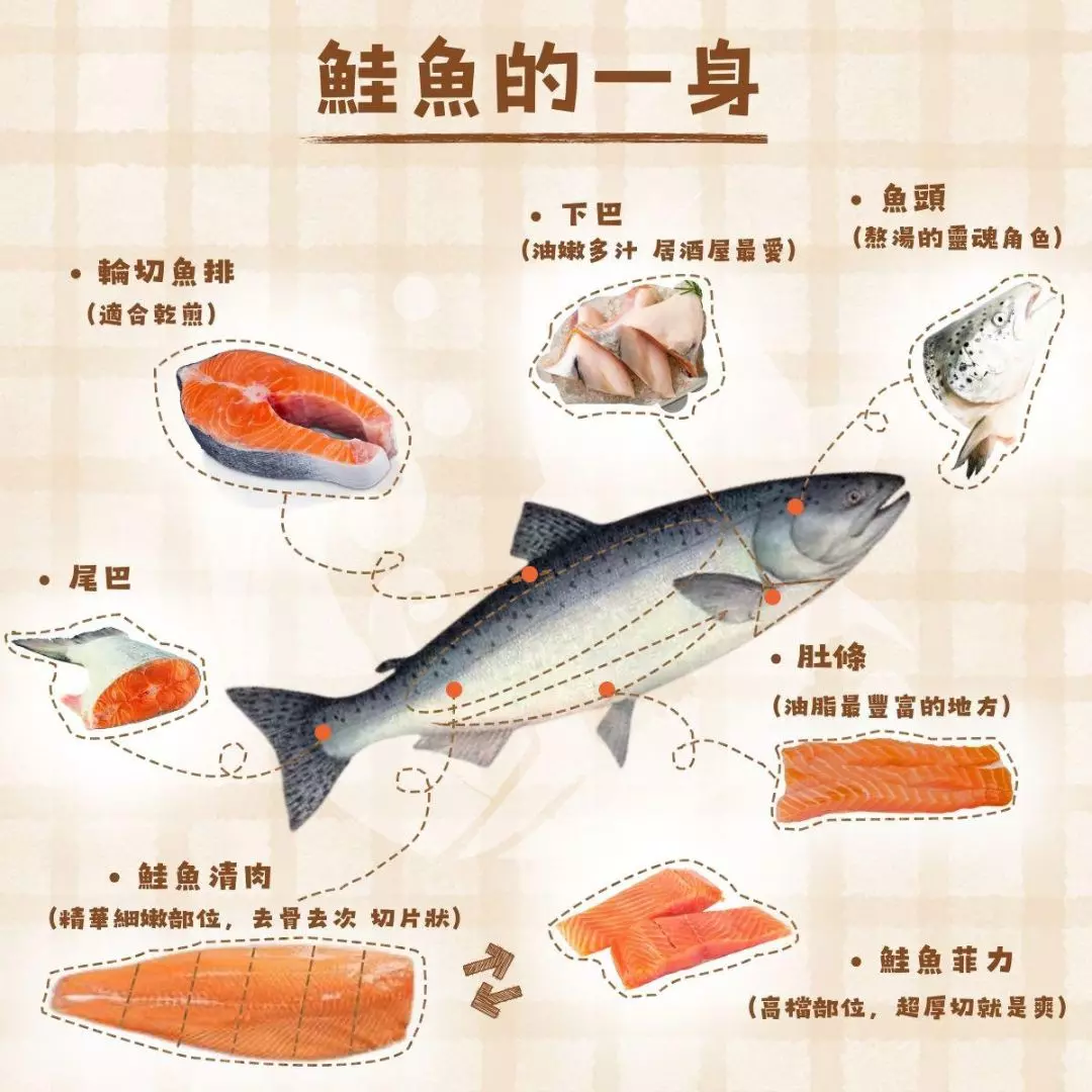 鮭魚 鮭魚料理 鮭魚日切