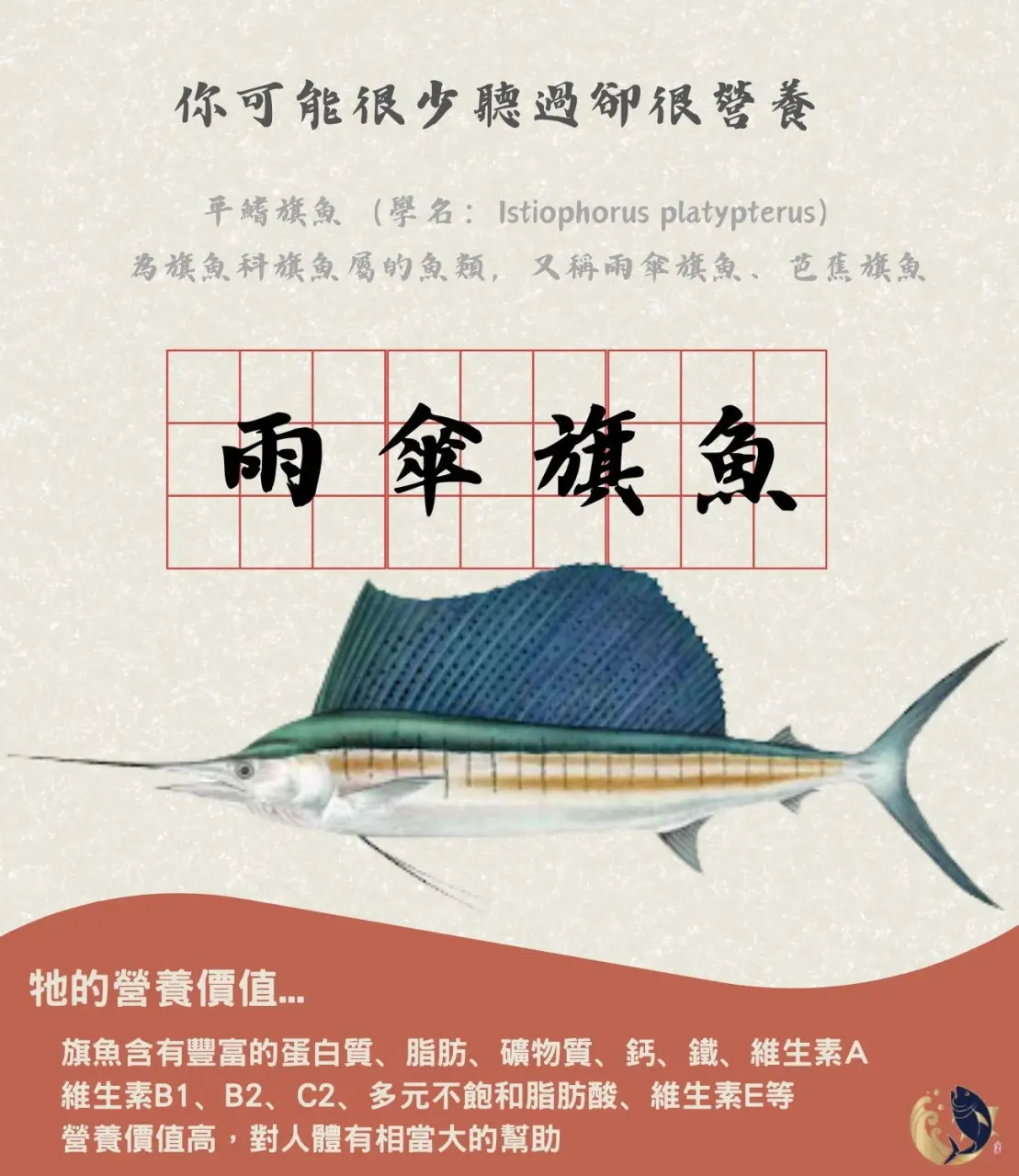 旗魚,旗魚種類,劍旗魚,雨傘旗魚,紅肉旗魚,黑皮旗魚