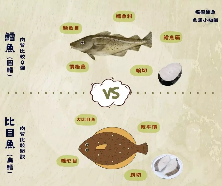 比目魚 比目魚料理 扁鱈