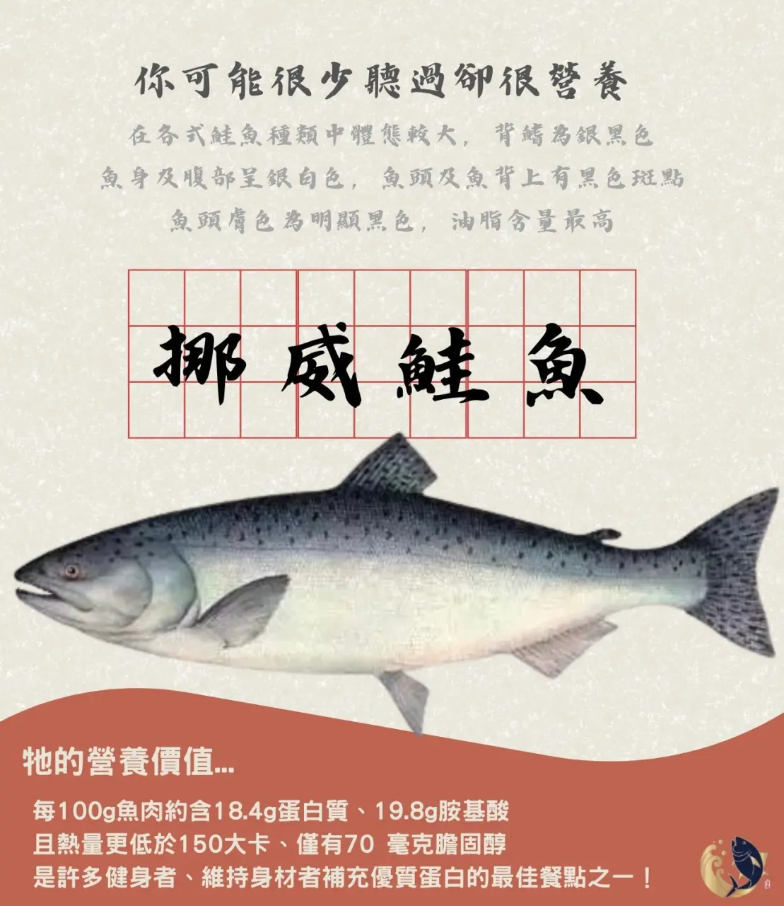 鮭魚,鮭魚種類,智利鮭魚