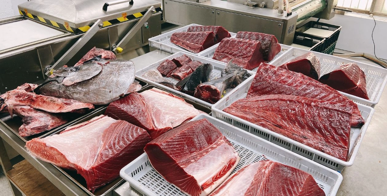 東港黑鮪魚.鮪魚